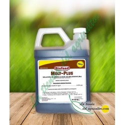 MOLY-PLUS 0–0–0+6% (1 Litro)