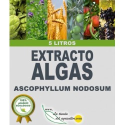 Algaegreen 500 - Extrato de Algas Bioestimulante (5 Litros)