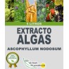 Algaegreen 500 - Extrato de Algas Bioestimulante (5 Litros)