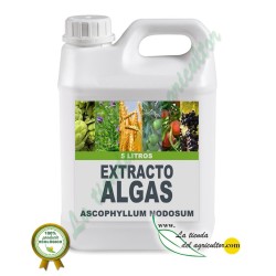 Algaegreen 500 - Extrato de...