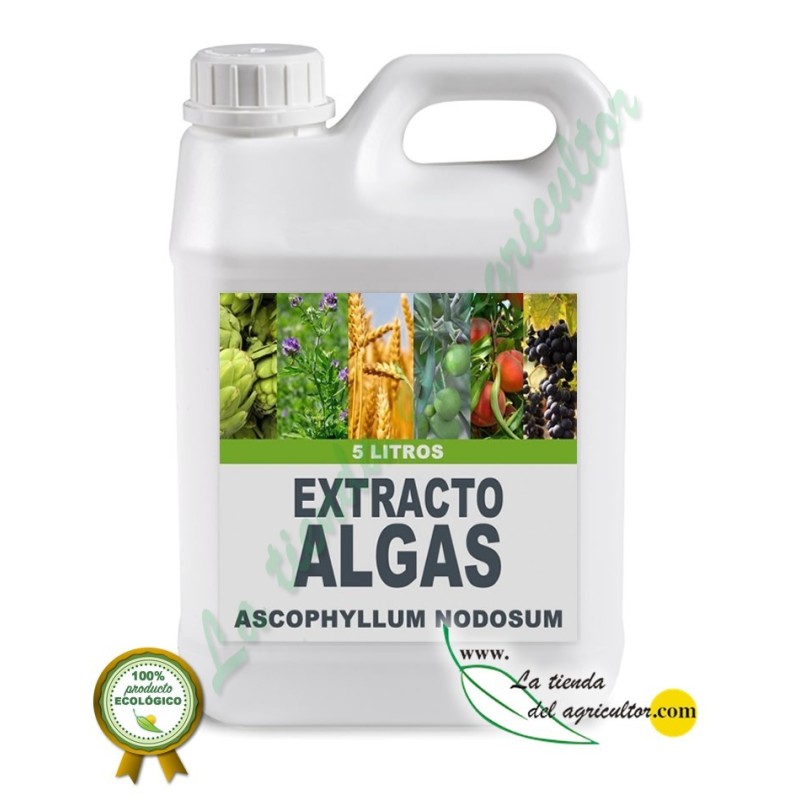 Algaegreen 500 - Extrato de Algas Bioestimulante (5 Litros)