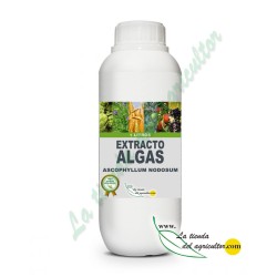 Algaegreen 500 - Extrato de Algas Bioestimulante (1 Litro)