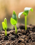 Fertilizantes e fertilizantes melhoradores do solo - La Tienda del Agricultor✅
